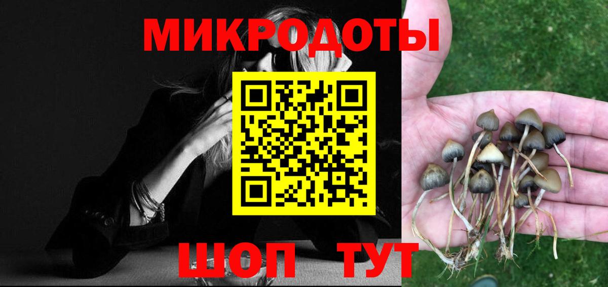 Галлюциногенные грибы мухоморы  Вход с VPN  Миллерово  Псилоцибиновые грибы Psilocybine cubensis 