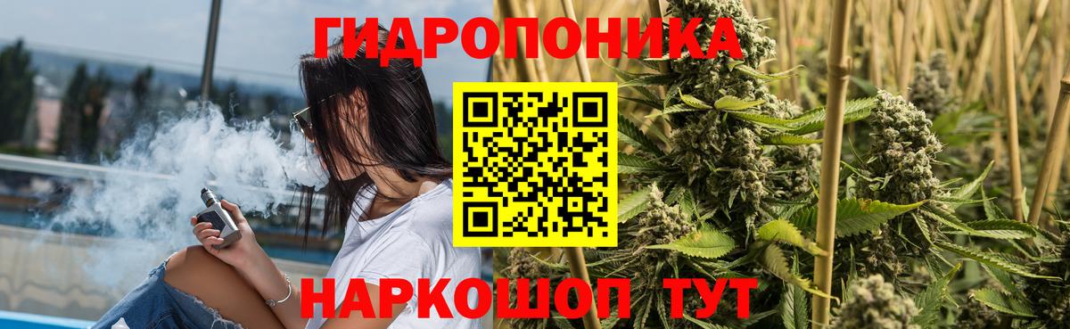 Бошки Шишки сатива Миллерово